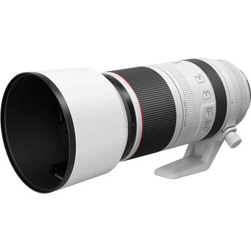 Canon RF 100-500mm f/4.5-7.1L IS USM Lens - Image 6