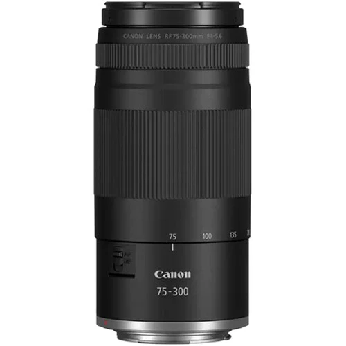 Canon RF 75-300mm f/4-5.6 Lens (Canon RF) - Image 2