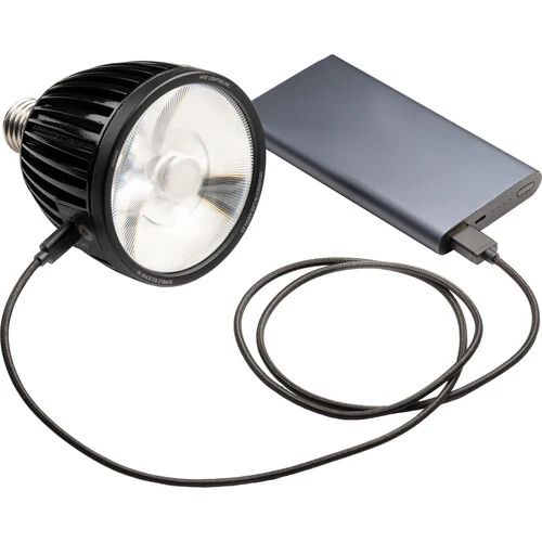 HIVE LIGHTING Bumble Bulb PAR30 - Image 8