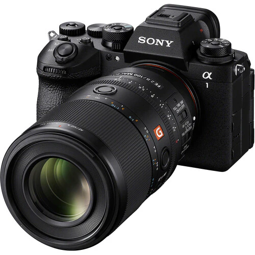 Sony FE 100mm f/2.8 Macro GM Lens (Sony E) - Image 6