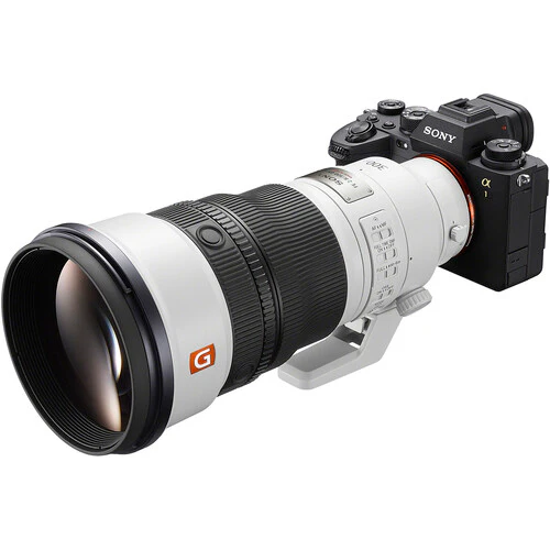 Sony FE 300mm f/2.8 GM OSS Lens (Sony E) - Image 9